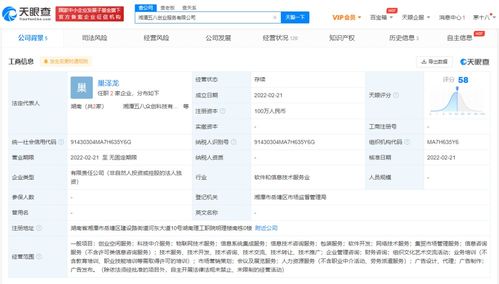 信息系統(tǒng)集成服務(wù)的核心價(jià)值與未來(lái)發(fā)展趨勢(shì)
